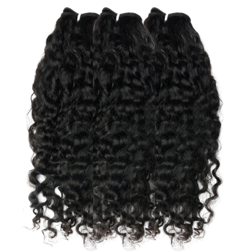 Burmese Curly
